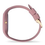 ساعت آیس واچ مدل 019529